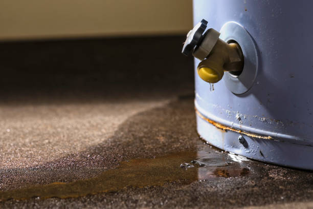 Best Residential water damage restoration  in Phoenixville, PA
