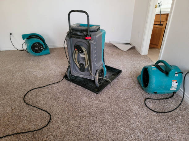 Best Fire Damage Restoration  in Phoenixville, PA