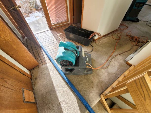 Best Basement water damage restoration  in Phoenixville, PA