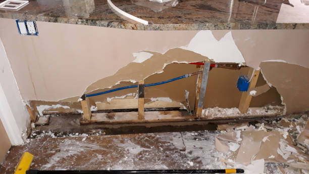 Best Flooded house restoration  in Phoenixville, PA