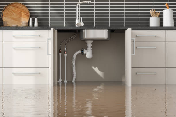 Best Carpet water damage restoration  in Phoenixville, PA