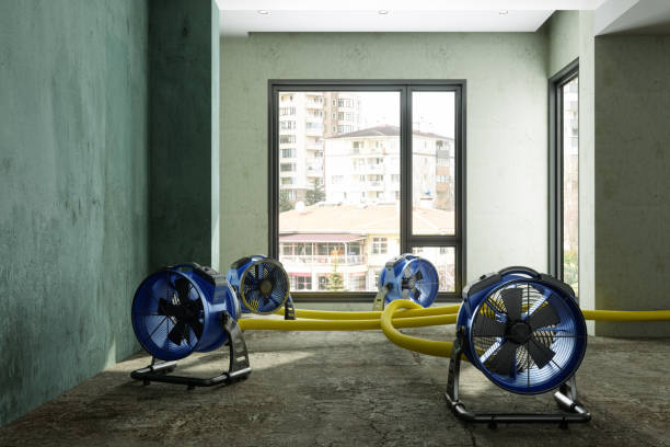 Best Water damage restoration near me  in Phoenixville, PA