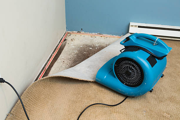 Best 24-hour water damage restoration  in Phoenixville, PA